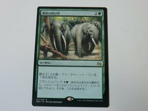 MTG プレイド 【獣群の呼び声】 （レア） MM3 日 1枚迄