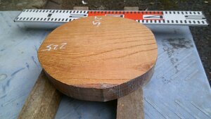 17-94　老木欅（ケヤキ）の乾燥丸材（７寸）・・丸盆・菓子器・皿・ロクロ・挽きもの