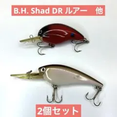 B.H. Shad DR ルアー　他　2個セット