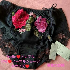 Wacoal/ワコール/Trefle/トレフル/17G/17グループ/薔薇の妖精/フェアリーテイル/ノーマルショーツ/スタンダードショーツ/M/PBF717/稀少品