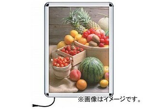 シンエイ PGライトLEDルクスト屋外用44R型 A1サイズ シルバー PGLED-LUXT-44R-A1AG(7546726)