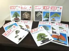 盆栽花木楽しみ方！【盆栽　本14冊　近代盆栽　植木鉢　雑誌】◆豆鉢　蘭鉢　青磁鉢