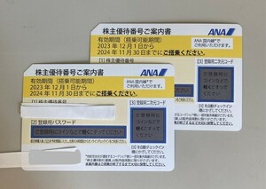 【即決可！】ANA 全日空 株式優待券 2024年11月30日まで 2枚セット 旅行 出張 飛行機