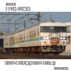 ◎KG写真【JR東海】117系電車 S9編成 ■トレイン117 ■水都大垣トレイン □撮影:東海道本線 2011/11/20［KG1404］