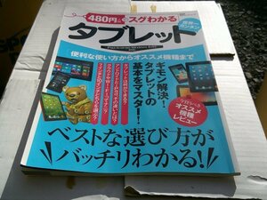 ●480円でスグわかるタブレット (100%ムックシリーズ)