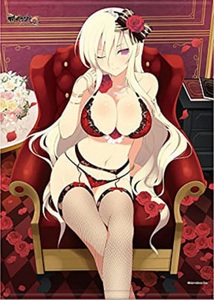 閃乱カグラ NewWave Gバースト 麗王 描き下ろしB2タペストリー