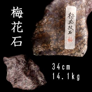 *3◆錵◆ 古美術品 梅花石 34cm 14.1kg 鑑賞石 唐物骨董 T[B353]OQ/23.3/MB/(120)