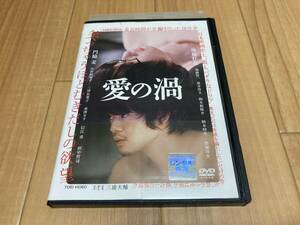 DVD 愛の渦　池松壮亮 門脇麦