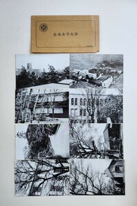日本女子大学　桜楓会　絵葉書セット　8枚　絵はがき　ポストカード　古写真　昭和レトロ　 ヴィンテージ