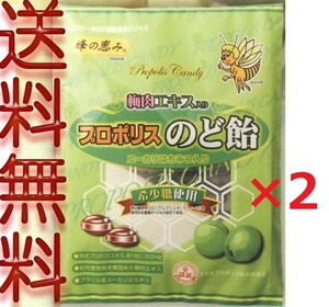 プロポリス入り 梅肉のど飴　80g　×2袋 キャンディー 代引不可 ゆうパケット送料無料