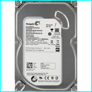 Seagate ST250DM000-1BD141-501 DP/N 0YVMKX 3.5インチ SATA600 250GB 570回 2323時間