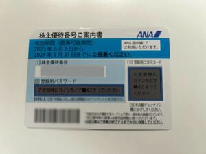 【即決】ANA 株主優待券 1枚　〜2024年5月31日まで〜