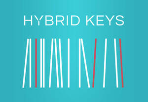 正規品 Native Instruments Hybrid Keys 未使用正規品 DTM ボカロ 歌ってみた tiktok