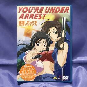 YOU’RE UNDER ARREST　逮捕しちゃうぞ　DVD　★★★★★送料無料★★★★★　目立つ傷汚れ無し