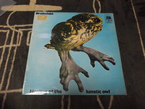 Brainchild[Healing Of The Lunatic Owl] Vinyl, LP, Album ,A&M Records - AMLS 979