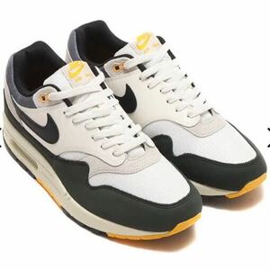 NIKE AIR MAX 1 SAIL/BLACK-LIGHT BONE-UNIVERSITY GOLD 23FA-I ナイキ エア マックス 1 fn7487-133サイズ28.5㎝