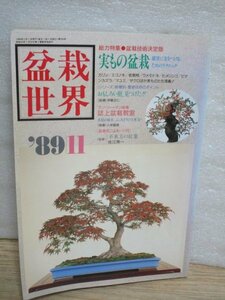盆栽世界　1989年11月■実もの盆栽（カリン・エゴノキ他）/おもしろい樹：ビナンカズラ/坪庭に盆栽樹形を学ぶ
