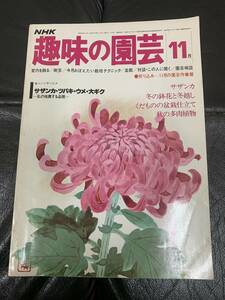 ★昭和53年★NHK 「趣味の園芸」11月　サザンカ　冬の鉢花と冬越し　くだものの盆栽仕立て　秋の多肉植物　（奥ベッド下保管）