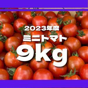 ミニトマト　9キロ　野菜　熊本産地直送　弁当　おかず　トマト　ミネラル　リコピン　農家