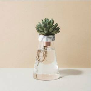 02：ガラス サークル 水耕栽培ガラスベース 大理石ホルダー 付き 花瓶 ディフューザー 花器 花瓶