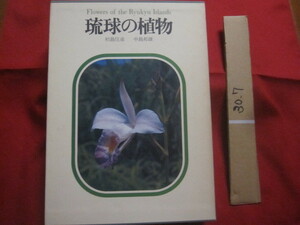 ☆琉球の植物　Ｆｌｏｗｅｒｓ　ｏｆ　ｔｈｅ　Ｒｙｕｋｙｕ　Ｉｓｌａｎｄｓ　《屋久島・種子島を含む》　【沖縄・琉球・自然・生物・図鑑
