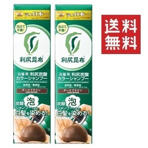 ●利尻昆布 炭酸カラーシャンプー 180g ×2本 ダークブラウン ★平日毎日発送★ 白髪用 自然派club サスティ