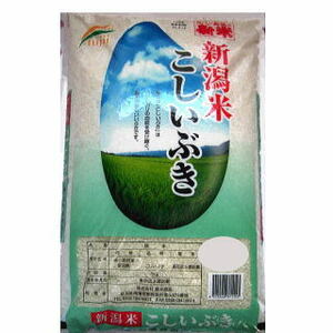 【送料無料】令和5年 新米　新潟県産こしいぶき10キログラム×8