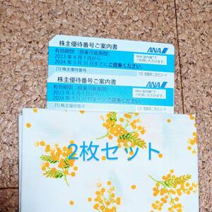 ANA株主優待券２枚セット　有効期間～2024年5月31日まで　即決あり　