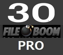 fileboom PRO30日公式プレミアムクーポン 1分で発送 親切サポート 必ず商品説明をお読み下さい。