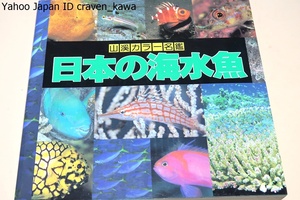日本の海水魚・山渓カラー名鑑/日本の海域にすむ海水魚を生態写真を中心に標本写真を加えて紹介するダイバー・魚類研究者待望の図鑑