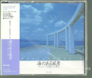 ■浪速みゅーじあむおるごーる■「海のある風景～オルゴールの聞こえる高台～」■♪渚のバルコニー♪海♪■品番:RH-202■新品未開封■