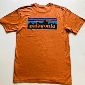 patagonia パタゴニア PATAGONIA Tシャツ M