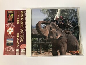 SJ059 遠藤ミチロウ / ベトナム伝説 北極バクテリア 【CD】 0415