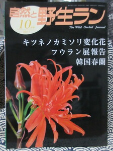 自然と野生ラン 2011年１0月号 特集：キツネノカミソリ変化花　フウラン展報告　韓国春蘭