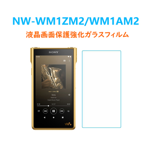 1枚SONY NW-WM1ZM2/WM1AM2液晶画面保護強化ガラスフィルム 自己自動吸着 指紋防止飛散防止気泡防止キズ防止 2.5Dラウンドエッジ加工 表面高