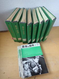 【G⑭E】大量★昆虫と自然　1966年～1976年　まとめて120冊セット　ニューサイエンス社