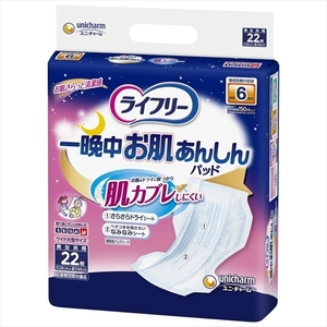 まとめ得 ライフリー　一晩中お肌あんしん尿とりパッド６回　２２＋２枚 　 大人用オムツ x [2個] /h