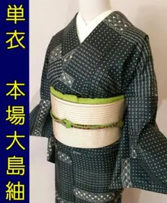 《未使用品》本場縞大島紬 海波横段文様 筑前博多織 九寸名古屋帯セット