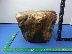 木化石－1：　約１５cm　ｘ　１０cm　ｘ　１２cm　上部磨きあり