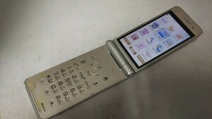 D4860 docomo FOMA P-01F Panasonic パナソニック ガラケー 折り畳み式 簡易動作確認＆簡易清掃＆初期化OK 判定○ 現状品 送料無料　