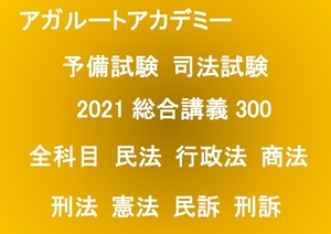  2021司法試験・予備試験 アガルート 総合講義300全科目 アガルートアカデミー