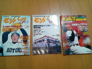 センバツ高校野球大会完全ガイド2冊サンデー毎日 臨時増刊号1冊　計3冊合計1940円分　中古/1991.2000.2001 ビンテージ　選抜　甲子園