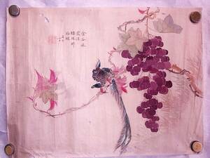中国古画　葡萄と鳥　女流画家　絹本　縦約31cm横約42ｃｍ　虫食い穴あります
