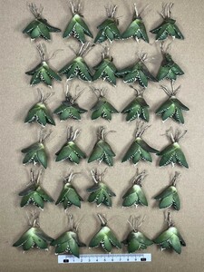 No:A04多肉植物アガベ チタノタ　南アフリカダイヤモンド agave titanota South Africa Diamond SAD 30株