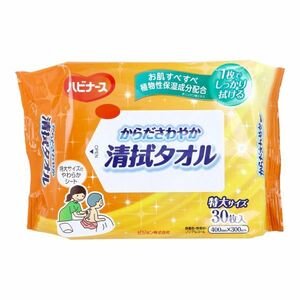 介護用からだふき ハビナース からださわやか清拭タオル 30枚入りＸ10パック