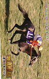 テレカ テレホンカード Gallop100名馬 オグリキャップ UZG01-0105