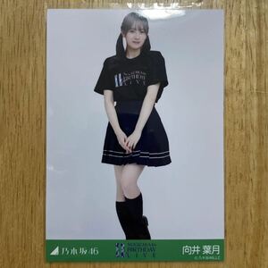 乃木坂46 向井葉月 11thBDライブTシャツ 生写真 ヒキ 1枚 検) 会場 限定 11周年 11th YEAR BIRTHDAY LIVE