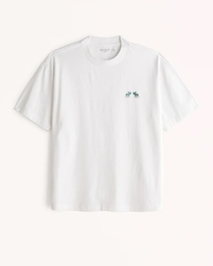 アバクロ Abercrombie&Fitch半袖Tシャツ tx055ホワイト