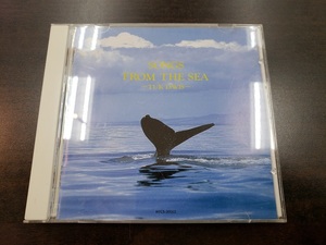 CD / SONGS FROM THE SEA / TUK DAVIS / 中古
