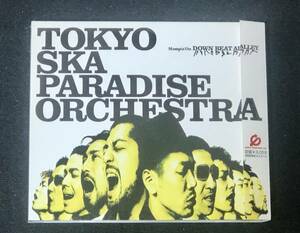 【美品】 東京スカパラダイスオーケストラ CD 「Stompin